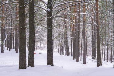 Similar image 21708637