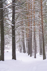 Similar image 21708639