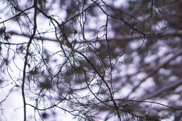 Similar image 21708640