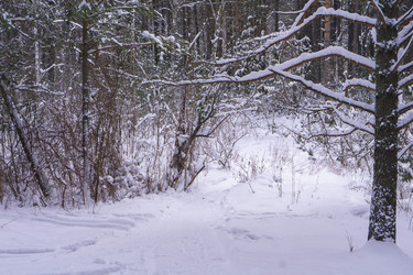 Similar image 21708641