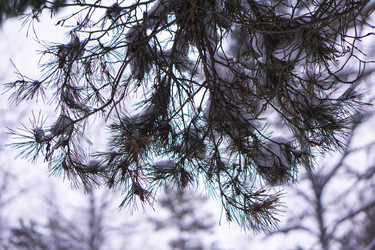 Similar image 21708642