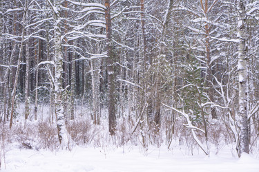 Similar image 21708643