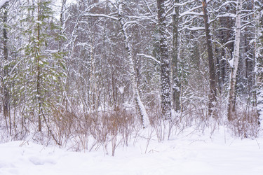 Similar image 21708644