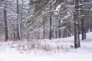 Similar image 21708645