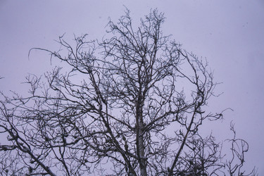 Similar image 21708647