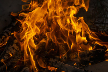 Similar image 21708648