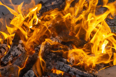 Similar image 21708649