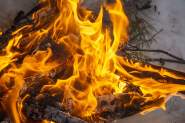 Similar image 21708650