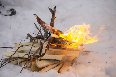 Similar image 21708655