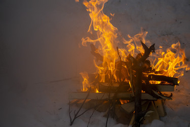 Similar image 21708656