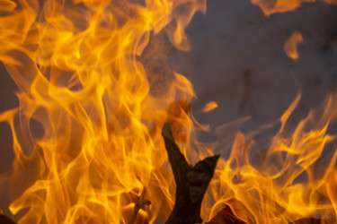 Similar image 21708657