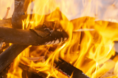 Similar image 21708658