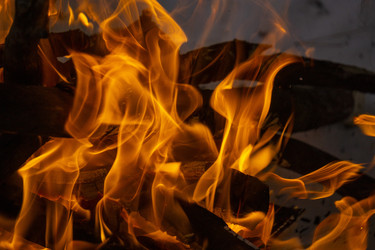 Similar image 21708659