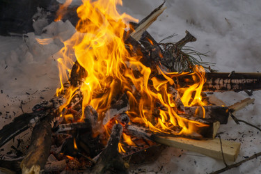 Similar image 21708661