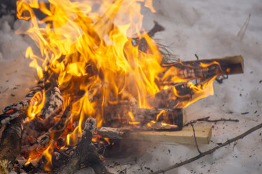 Similar image 21708662