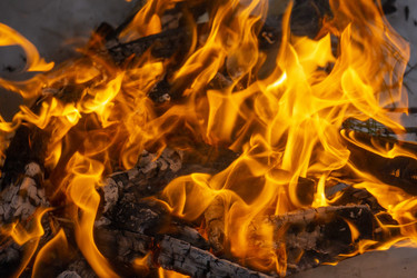 Similar image 21708663