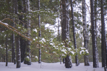 Similar image 21708664