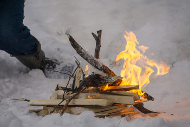 Similar image 21708665