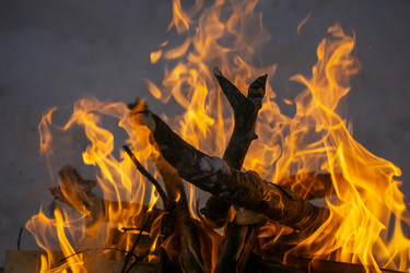 Similar image 21708667