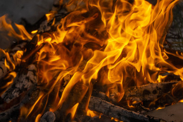 Similar image 21708668