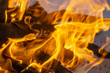 Similar image 21708669