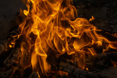 Similar image 21708670