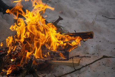 Similar image 21708673