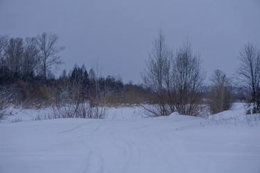 Similar image 21708674