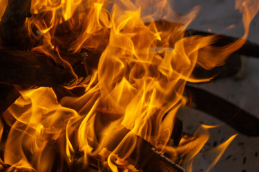 Similar image 21708675