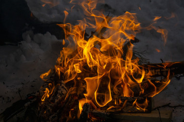 Similar image 21708677