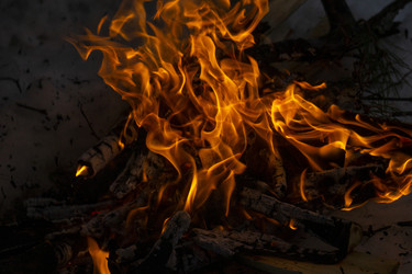 Similar image 21708679