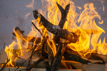 Similar image 21708681