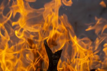 Similar image 21708683