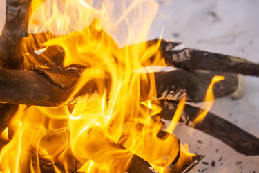 Similar image 21708685