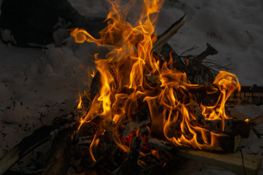 Similar image 21708687