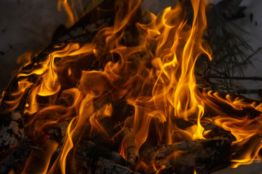 Similar image 21708689