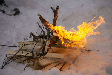 Similar image 21708690