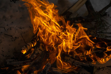 Similar image 21708693