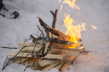 Similar image 21708694