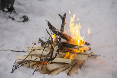 Similar image 21708695