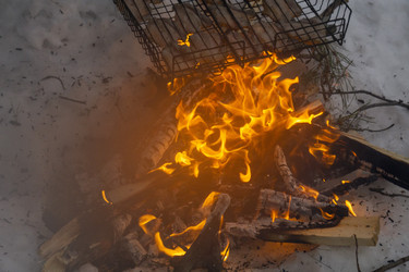 Similar image 21708697