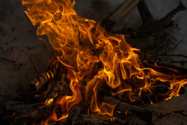 Similar image 21708699