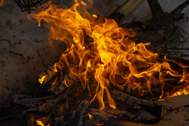 Similar image 21708701