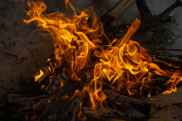 Similar image 21708703