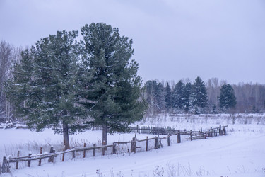 Similar image 21708705