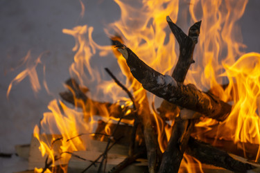 Similar image 21708706