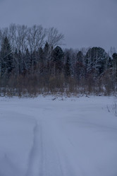 Similar image 21708707