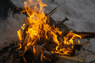 Similar image 21708712