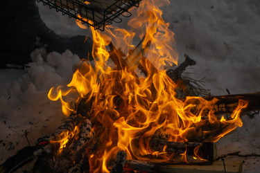 Similar image 21708713