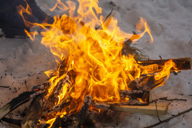 Similar image 21708714